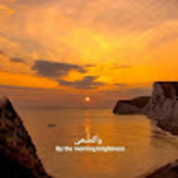 Meet your Posher, Dane - Picture 1 of 1